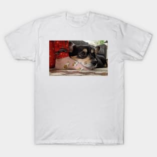 Corgi love T-Shirt